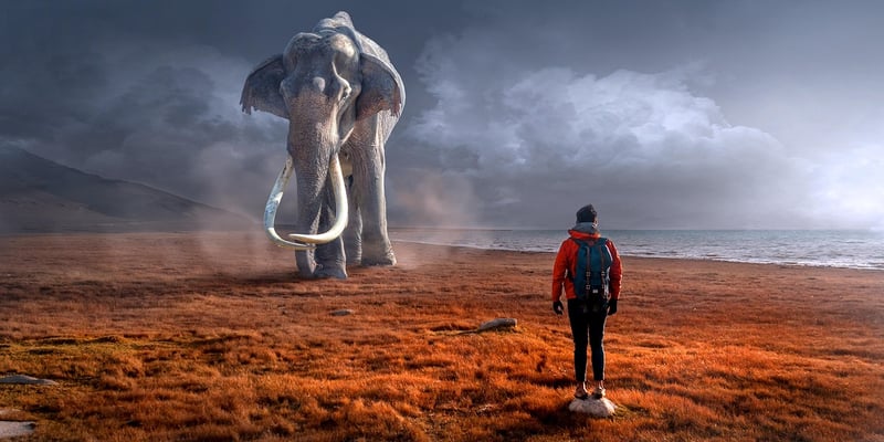 Surreal landscapes